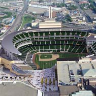 Target Field